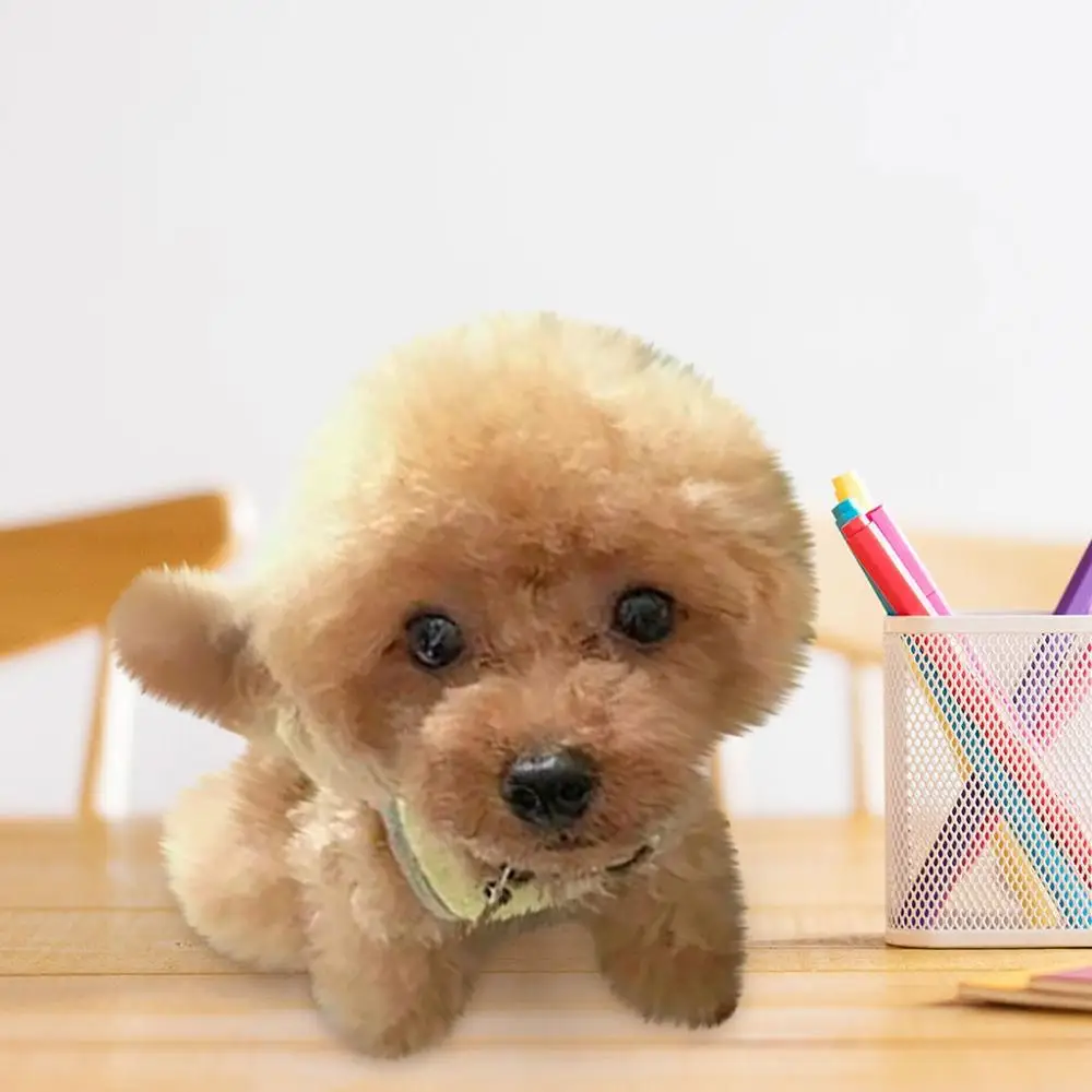 

4 Colors Simulation Dog Poodle Plush Toys Realistic Teddy Dog Cute Handmade Realistic Figure Toy lovely Dog Plush Stuffed Anim