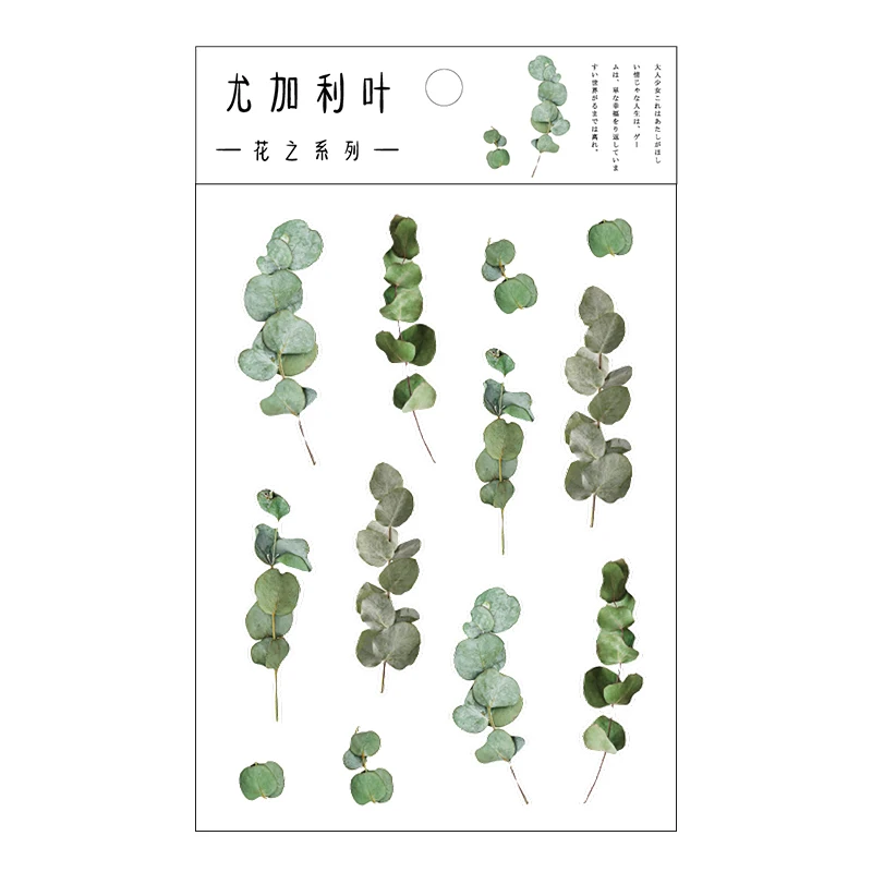 

6 Designs Natural Plants Clover Daisy Decoration Stickers Japanese PET Sticker DIY Scrapbooking Leaves Creative Stationery