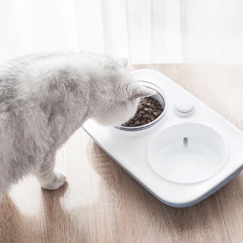 

15 Degrees Tilt Angle Dog Food Bowls Cat Pet Automatic Water Dispenser Dishes Food Water Feeder For Dogs Cats