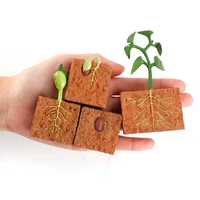 simulation plant growth life cycle of a green bean plant growth cycle model action collection science educational toys children