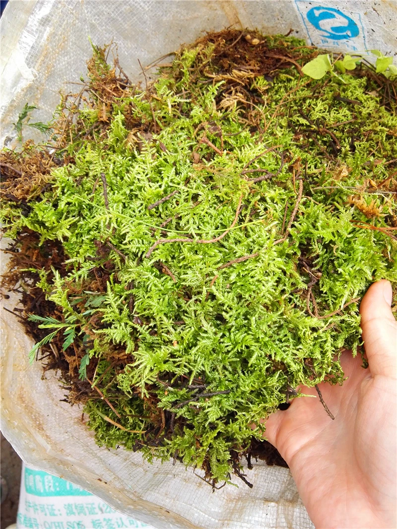 Увлажняющее питательное органическое удобрение 10 г|Принадлежности для