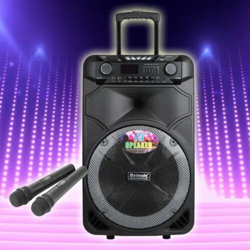 Altavoz port&aacute;til HIFI con Bluetooth para KARAOKE, sistema de Subwoofer de Audio para DJ, con luz LED, 2 micr&oacute;fonos y funci&oacute;n remota TWS, 15 pulgadas-0