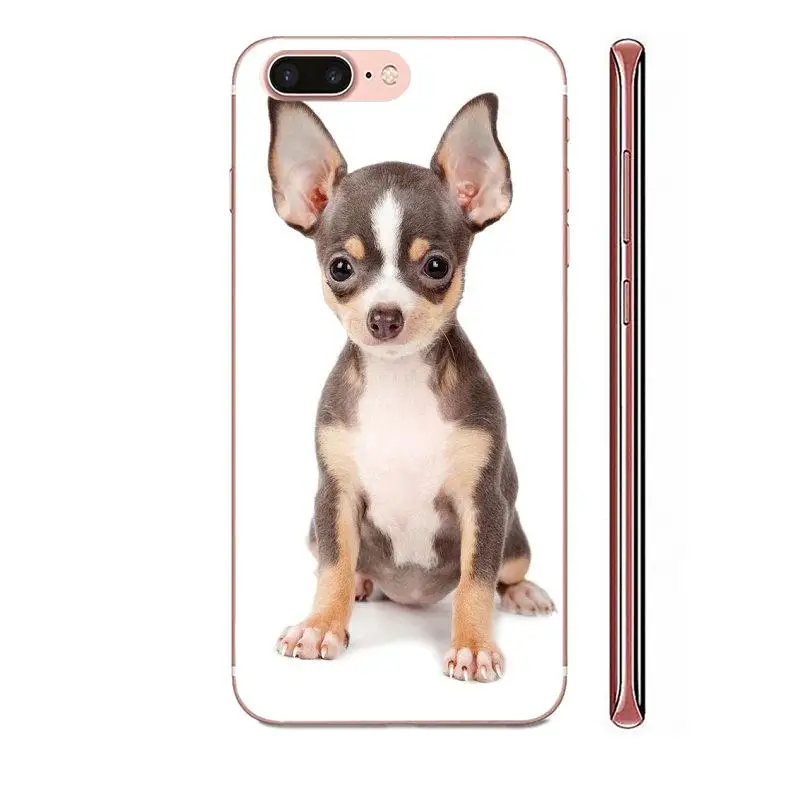 Гибридный чехол для Apple iPhone 11 Pro X XS Max XR 4 4S 5 5C 5S SE SE2 6 6S 7 8 Plus забавный щенок чихуахуа |