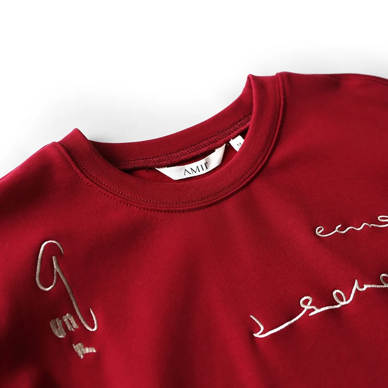 Женский свитер с длинным рукавом Amii весенний Однотонный принтом в виде букв и