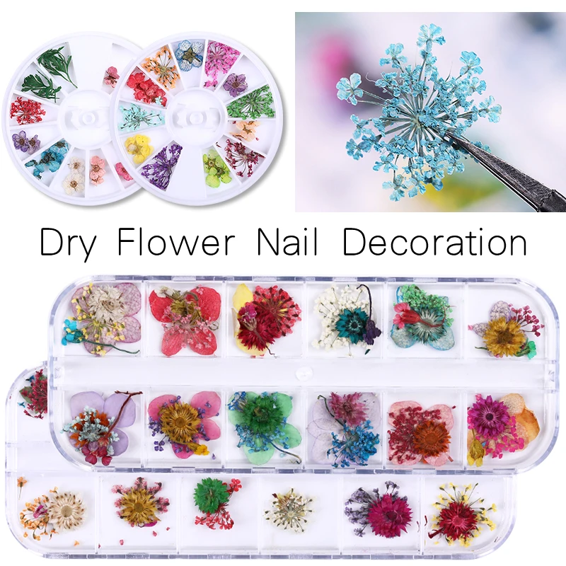 1 коробка сушеных цветов листья украшение для ногтей натуральные Цветочные