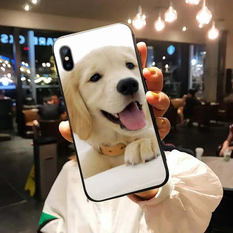 

Golden retriever case for airpods Phone Case for iPhone 11 12 pro XS MAX 8 7 6 6S Plus X 5S SE 2020 XR