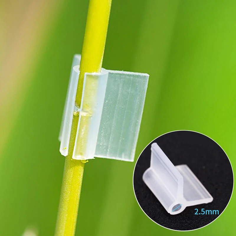 

100Pcs/Pack 2-5mm Caliber Plastic Support Plant Grafting Clips Vegetables Tomato Vine Stalks Grow Support Fixing Clips Dropship