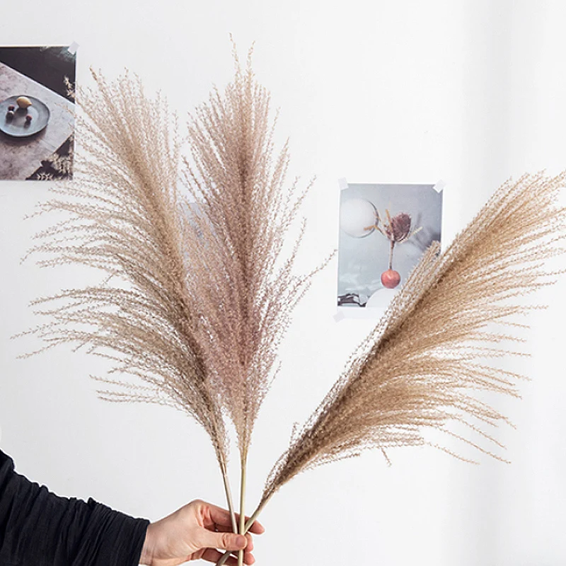 

30pcs Pampas Grass Decor Wedding Natural Phragmites Real Dried Plants For Decor Home Wedding Christmas Decoration Flower Bunch