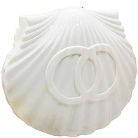 ins small fresh fashion niche design single shoulder messenger bag new trendy acrylic beach travel shell bag