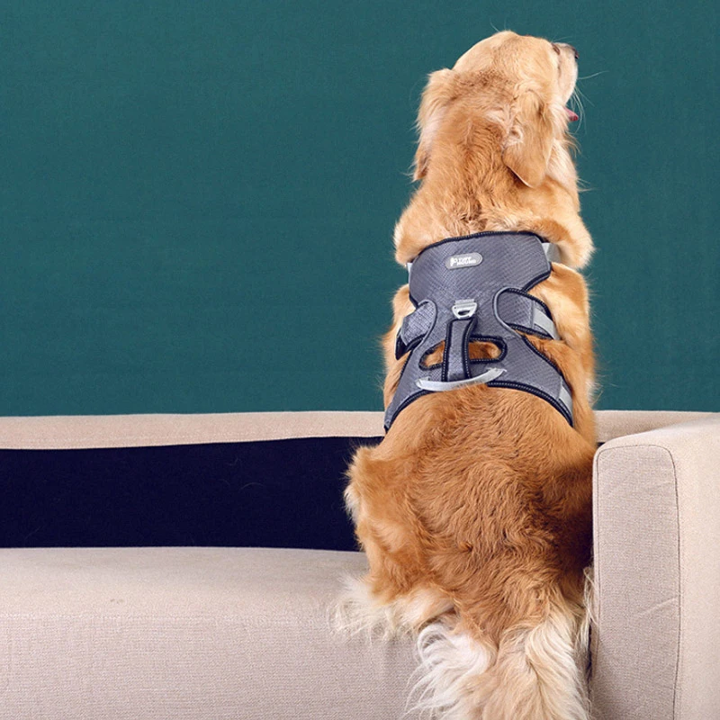 Шлейка для собак среднего и большого размера уютная Регулируемая