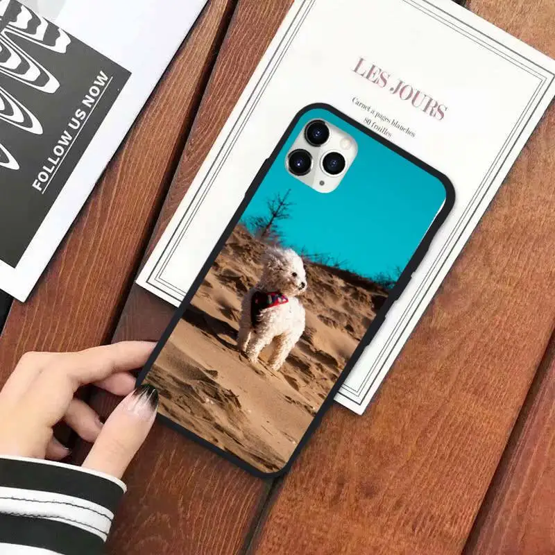 

Bichon frise dog cute animal Phone Case for iPhone 11 12 mini pro XS MAX 8 7 6 6S Plus X 5S SE 2020 XR