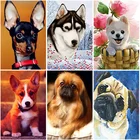 Алмазная 5D картина сделай сам с собакой, Набор для вышивки крестиком из круглых страз, с рисунком животных, домашний декор, подарок на Рождество