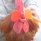 Очки для кормления фазана, павлина, 2 цвета, 100 шт.