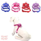 Строгий ошейник для домашних животных, собачий поводок, маленький щенок, галстук-бабочка для кота, собачий ошейник, строгий собачий ошейник