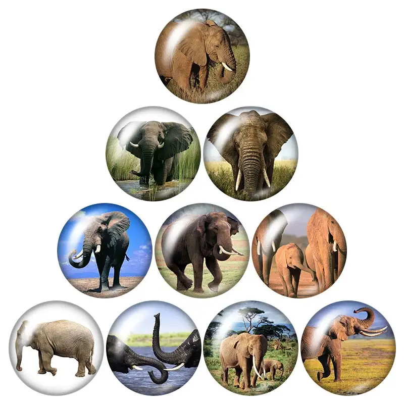 DB0459 слон Животные 18 мм кнопки 10 шт. круглые фото кабошоны разрисованные изделия