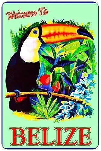 

Vintage Art Metal Sign Welcome to Belize Parrot Tin Sign for Art Printing Posters for Bars and Cafes 8x12 Inches