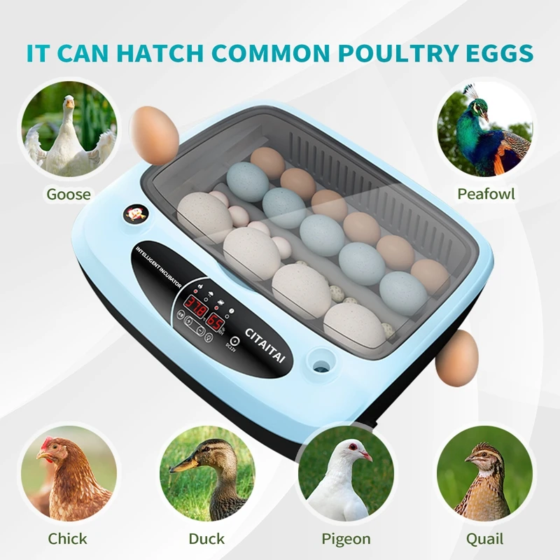 

Automatic Incubator 15 Eggs Incubator Chicken Goose Duck Quail Pigeon Poultry Brooder Automatically Turn Eggs Hatching Machine