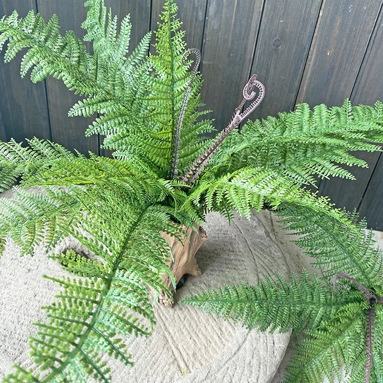 

Имитация папоротника, травы, листьев папоротника, папоротника, техника, ландшафтный дизайн, зеленое растение, настенная подвеска, для отеля,...