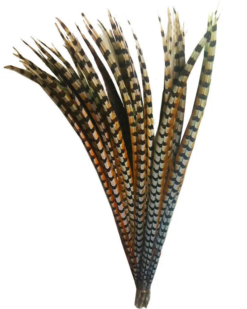 

Wholesale 10-100PCS Natural Pheasant Chicken Feather 100-110CM 40-43" Real Reeve's Pheasant Feathers Plumes For Carnival Wings