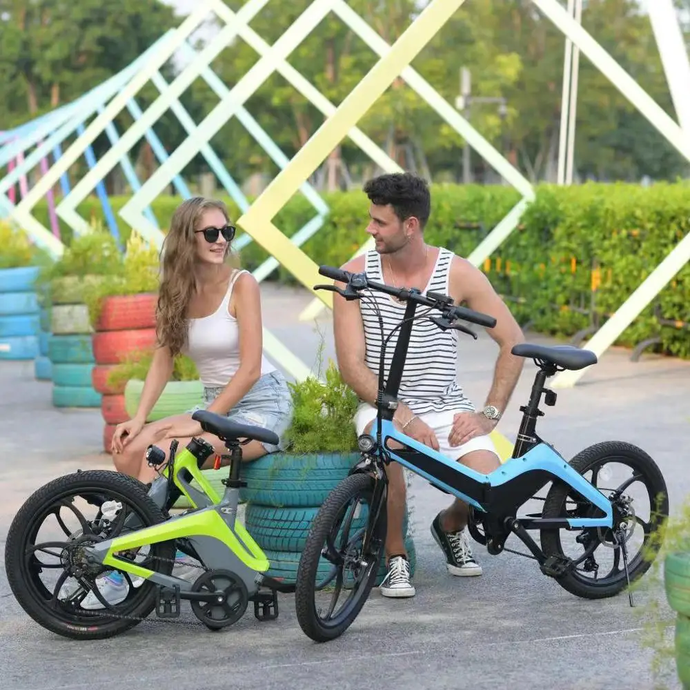 Электрический велосипед 20 дюймов 36 В литиевая батарея 250 Вт|Электровелосипед| |