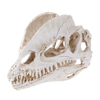 dilophosaurus dinosaur skull resin crafts fossil skeleton teaching model halloween home office decoration