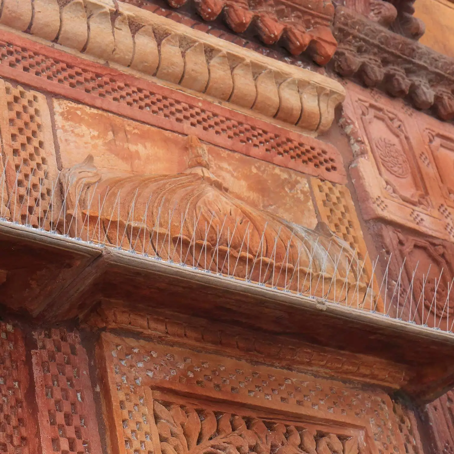 

10 Pcs/Box Bird Spikes, Stainless Steel Bird Deterrent Spikes Cover for Fence Railing Walls Roof Yard