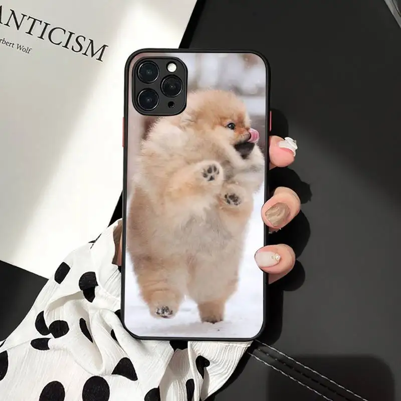 Чехол для телефона с изображением Померанской собаки iphone 12 11 7 8 plus mini x xs xr pro max