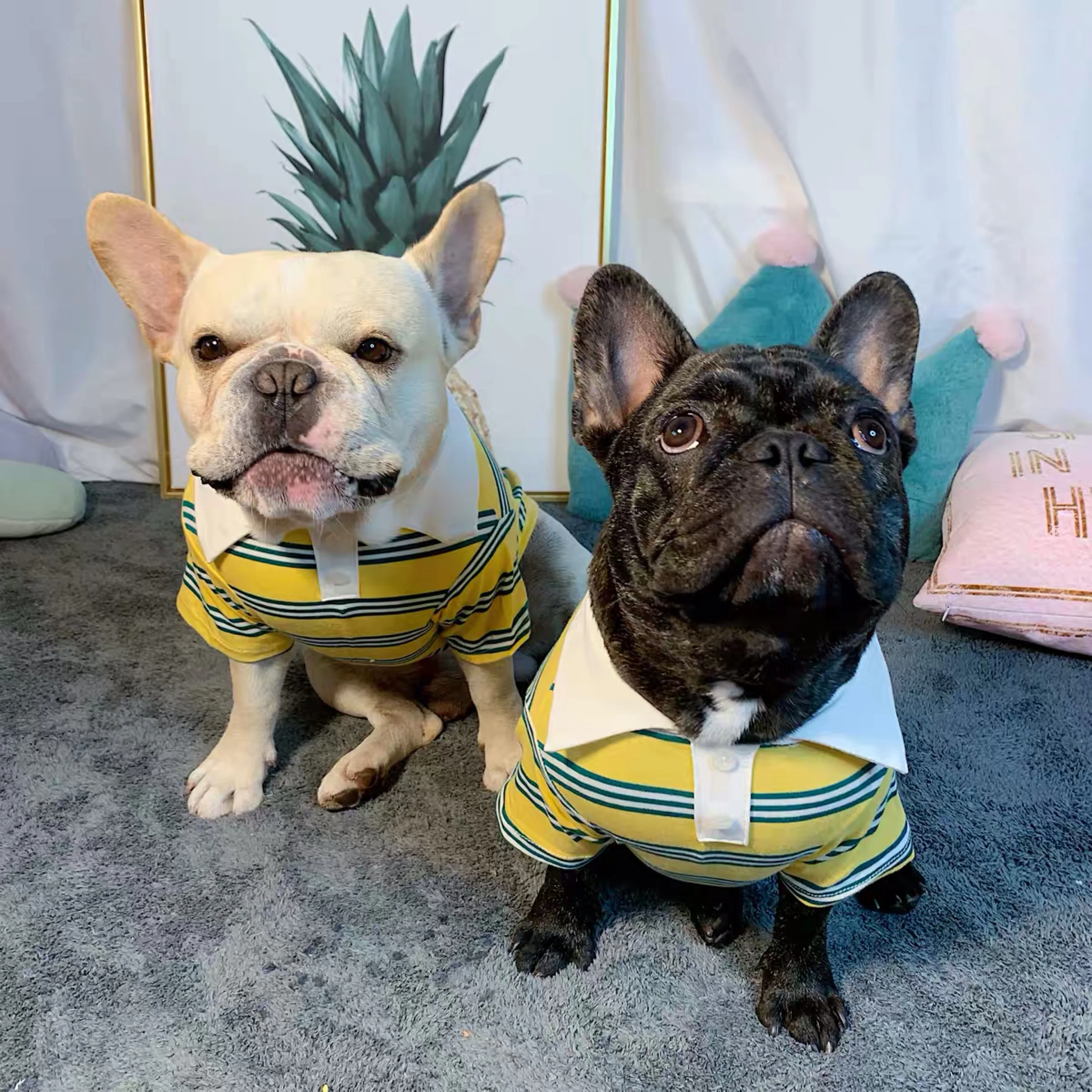 Футболка для домашних животных летняя крутая жилетка одежда маленьких средних и