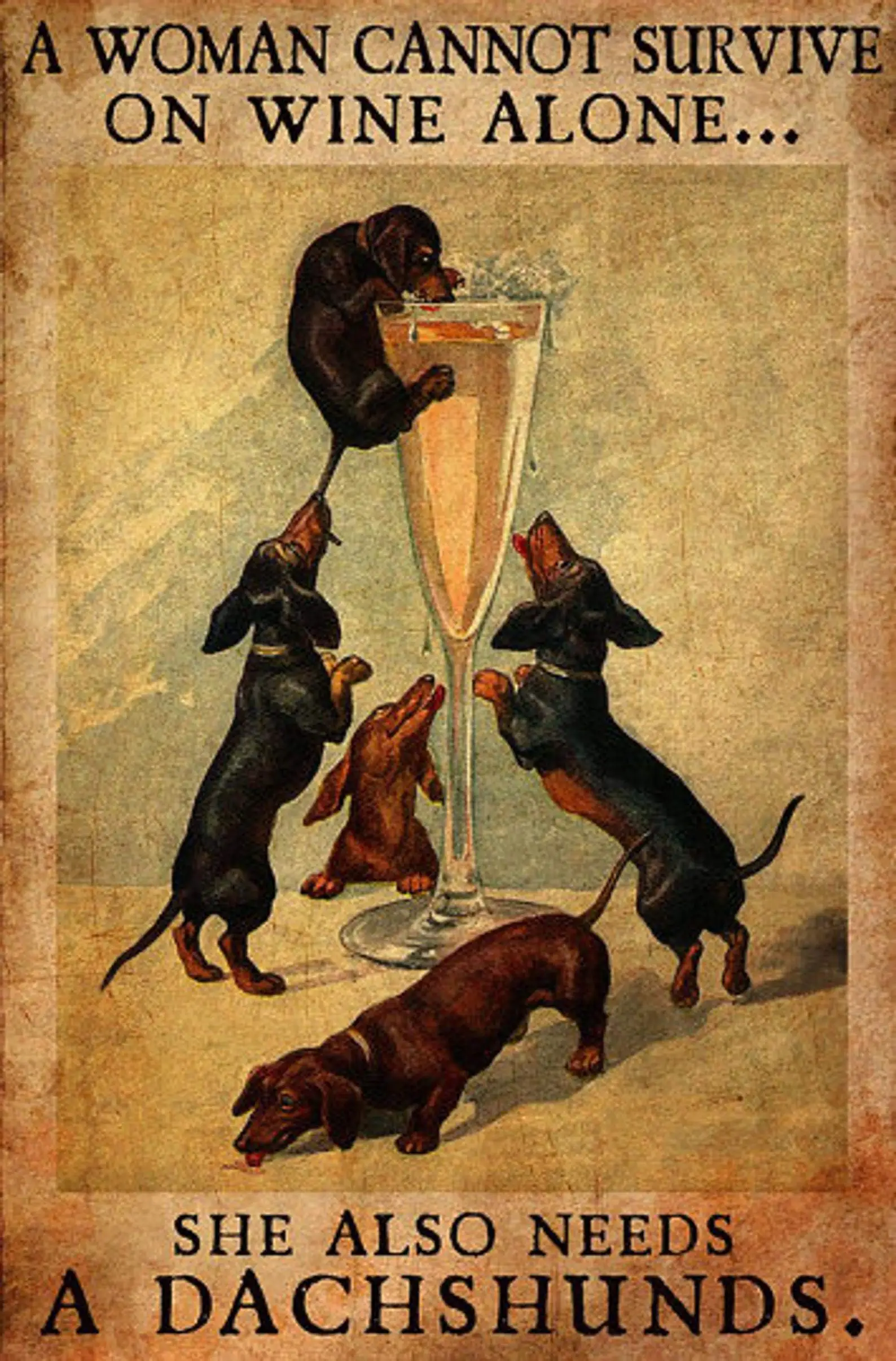

Metal Tin Signs Retro A Woman Cannot Survive On Wine Alone She Also Needs A Chihuahua Vintage Metal Signs Customized