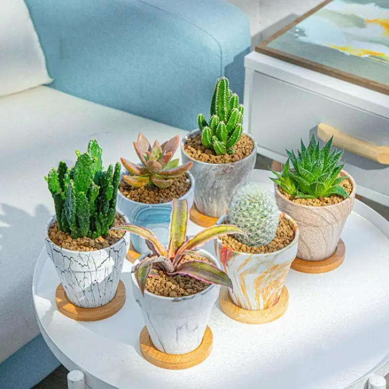 

6 Pc/Set European Style Flower Pot Ceramic Golden Water Transfer Lanter Desktop Ornaments Home Decor Simple Pot With Holder Tray