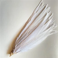 50pcslot white silver chicken pheasant tail feathers 20 22inches50 55cm decor decoration plumas plume party performance