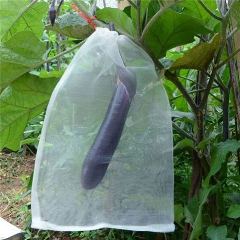 

10PCS Fruit Vegetable Insert Protection Grow Bag Anti Bird Plant Protective Bag Drawstring Nylon Mesh Agricultural Pest Control