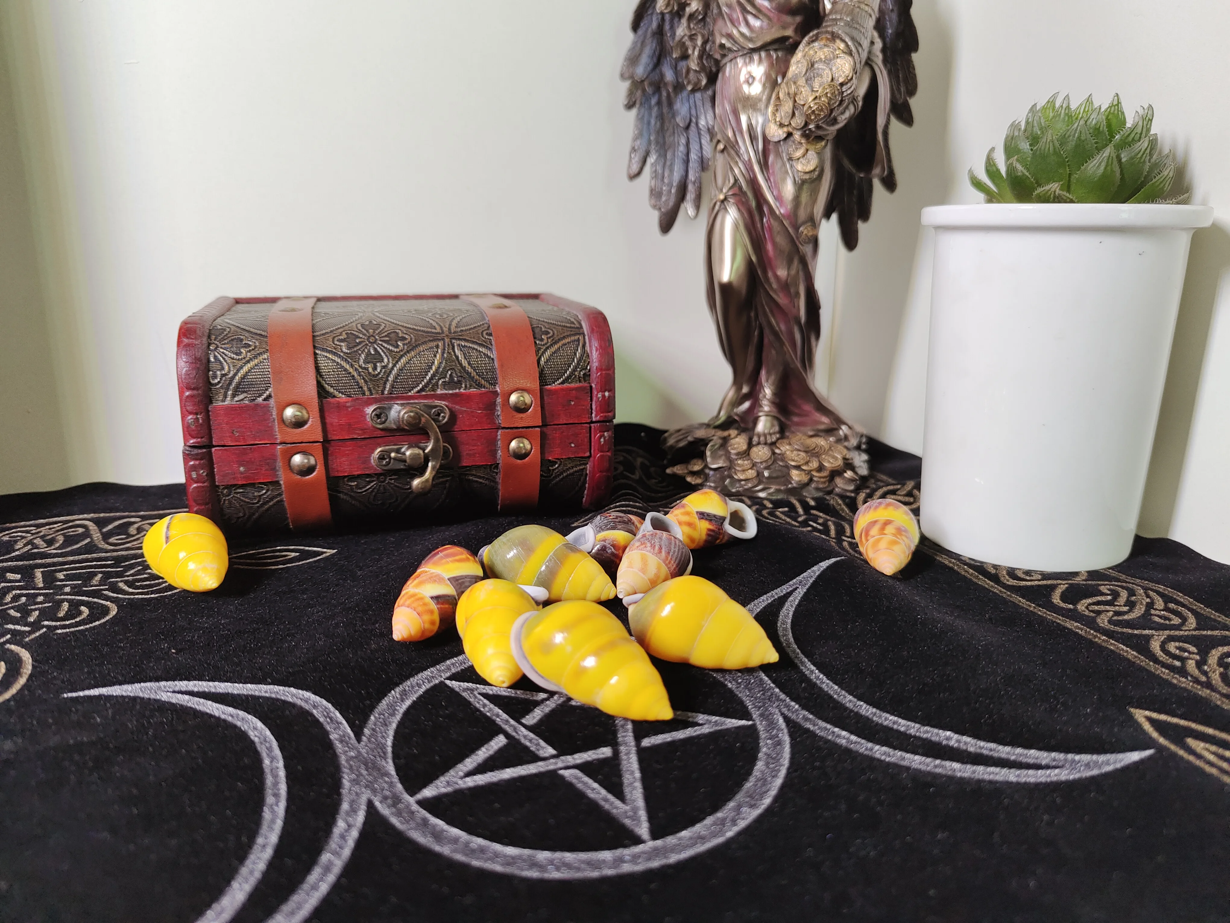 

3-4 cm yellow snail shell colorful home decoration children's toy