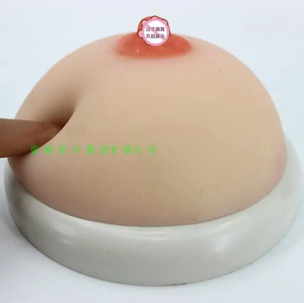 

Education sets of breast stimulation teaching tools for breast feeding of female breast model of fake breast prosthesis