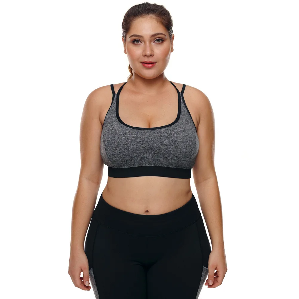 

2020 Women Plus Size Fitness Crop Top High Impact Support Bounce Control Push Up Padded Running Yoga Workout Sports Bra XXXL