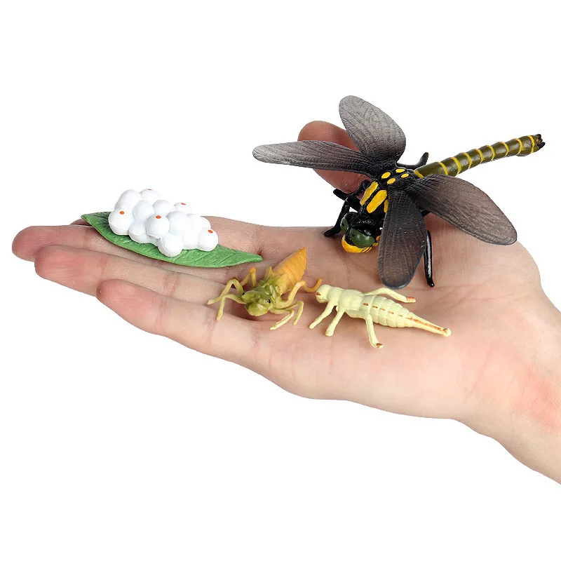 

DIY Simulation Insect Animal ABS Dragonfly Bee Action Figures Collection Miniature Cognition Educational Toys for Children Gift