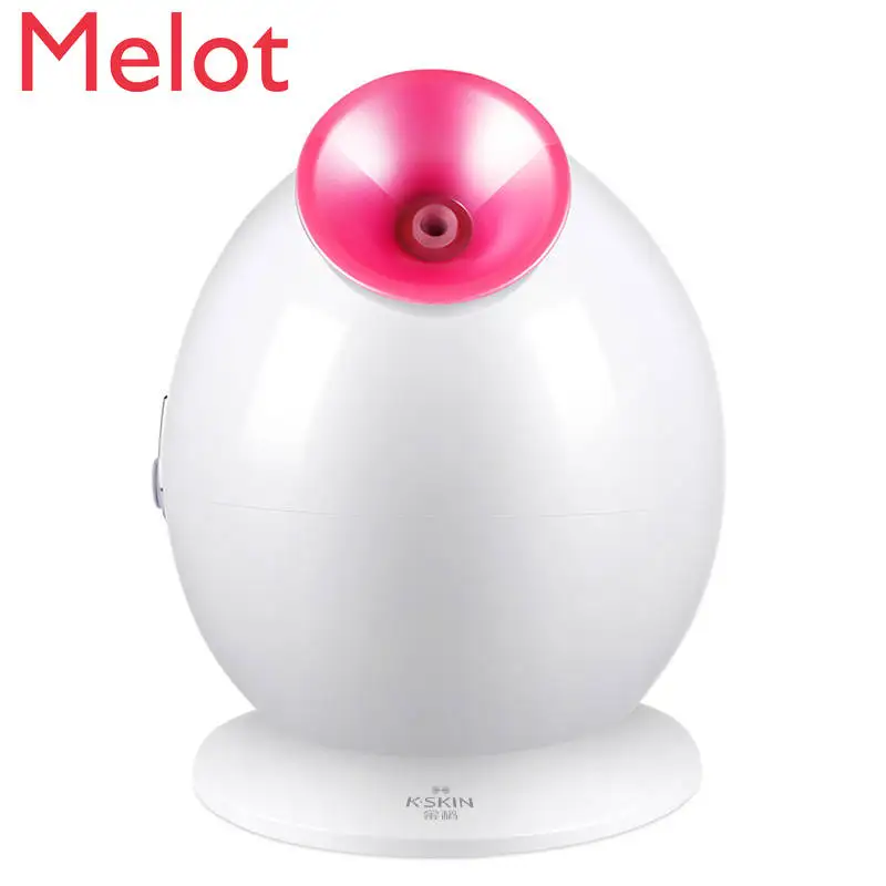 

European-Style Simple Small Household Sprayer Hot Spray Water Replenishing Instrument Facial Steamer Humidifier Beauty