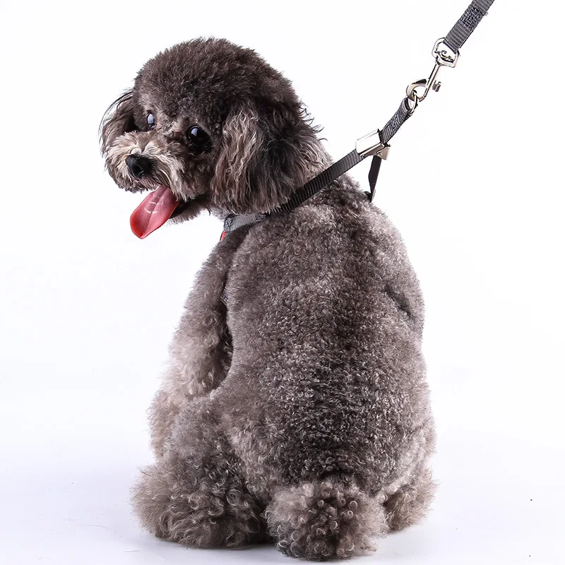 

Dog leash, bell collar, small dog knot, chain, Teddy, cat, leash, vest, chest harness, pet supplies