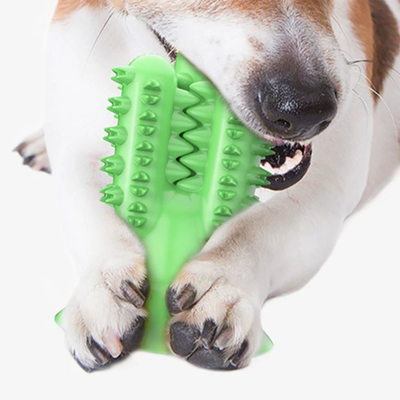 Зубная щетка для собак и питомцев | Дом сад