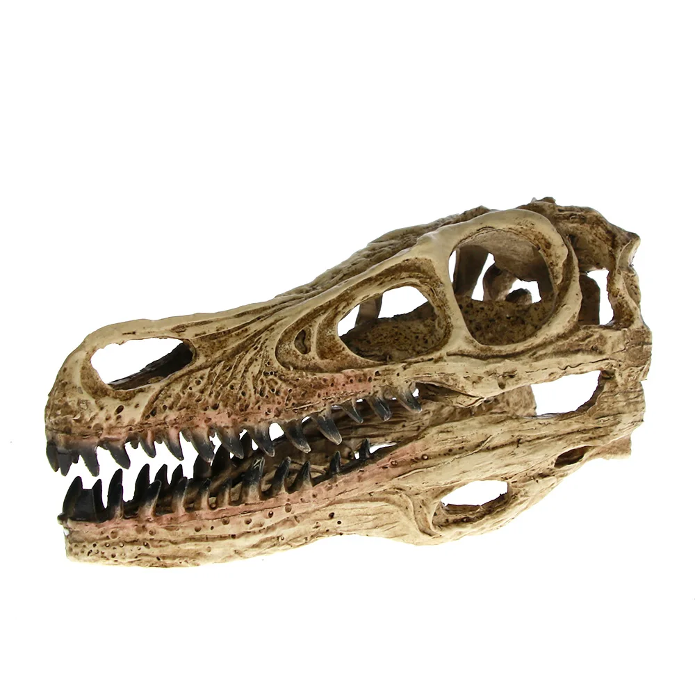 Высокоточная обучающая модель [MGT] Velociraptor Fossil Resin Skull Dinosaur череп динозавра