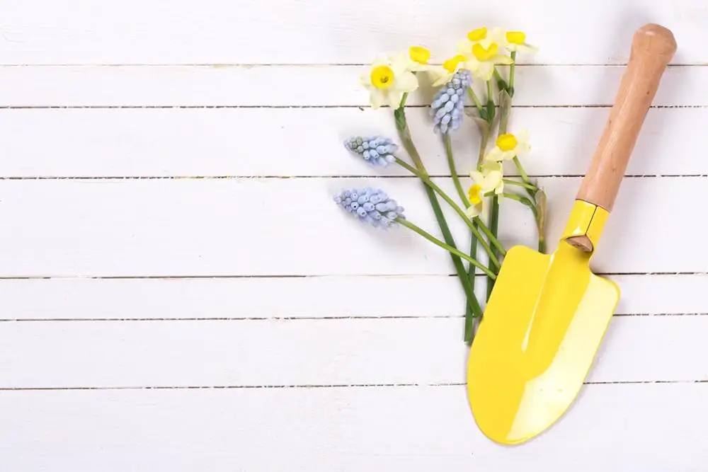 

Vinyl Custom Photography Prop Flower Wood Planks Board theme Photo Studio Background W191009-028