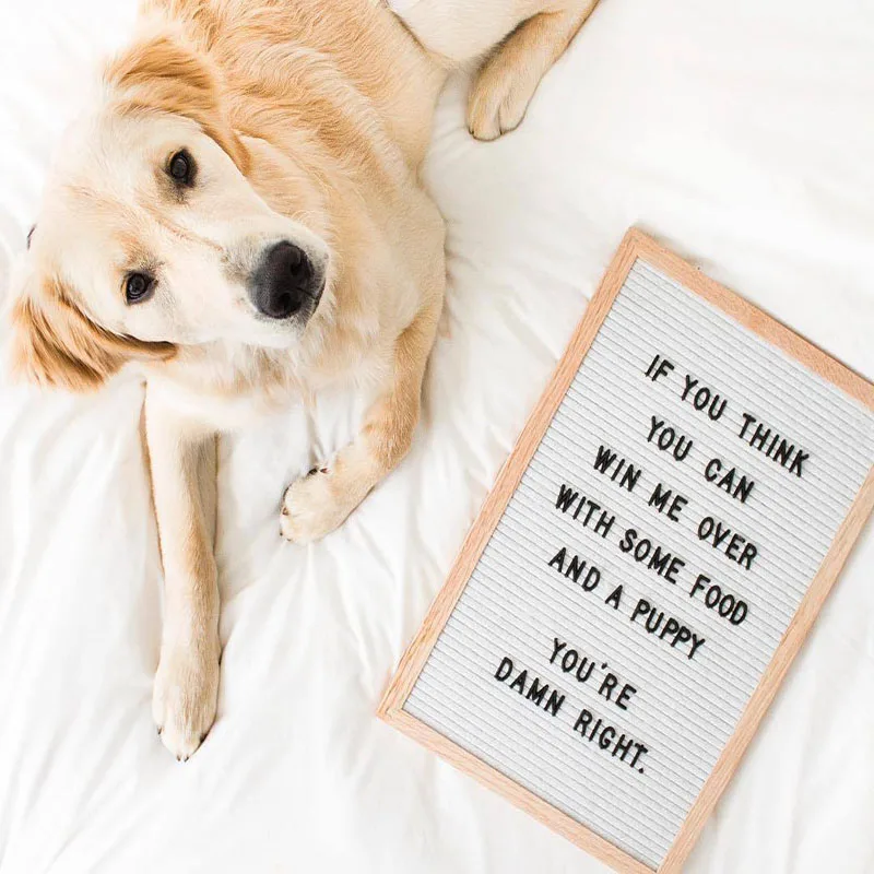 Доска из войлока с буквами для обучения деревянная рамка символом цифрами