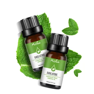 Эфирное освежающее масло с растениями из эвкалипта и лимона, стимулирующее кровообращение, массажное соскабливающее масло, 10 мл, Эфирное средство для ухода за массажем