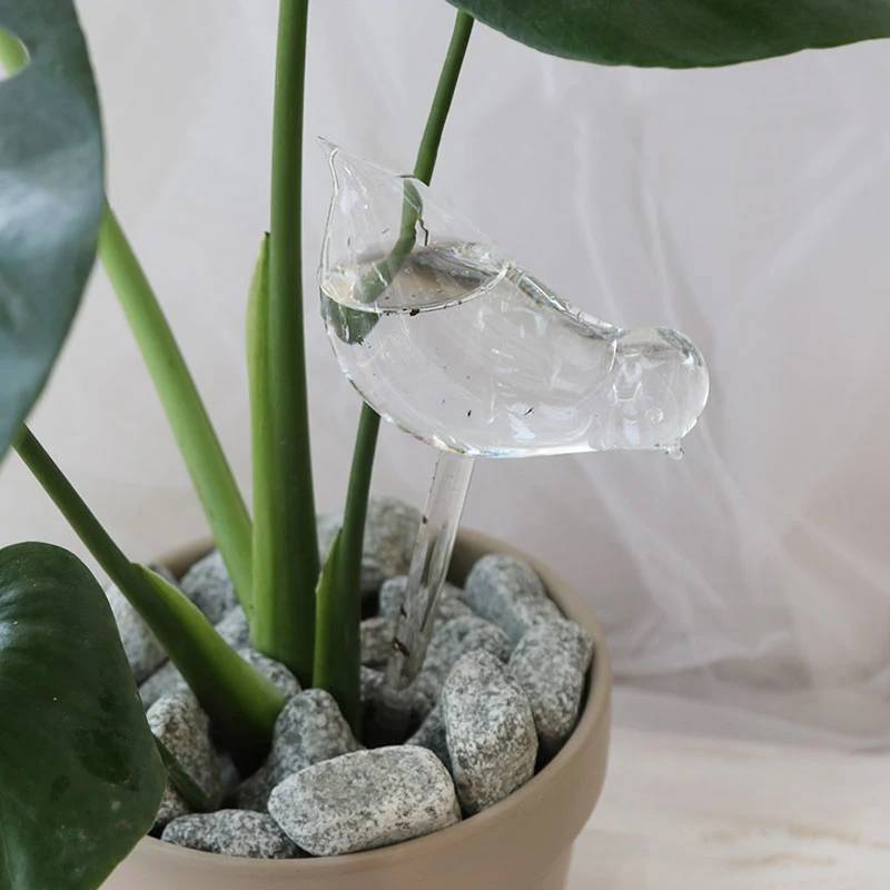 Автоматическая система подачи воды из прозрачного стекла для домашних растений