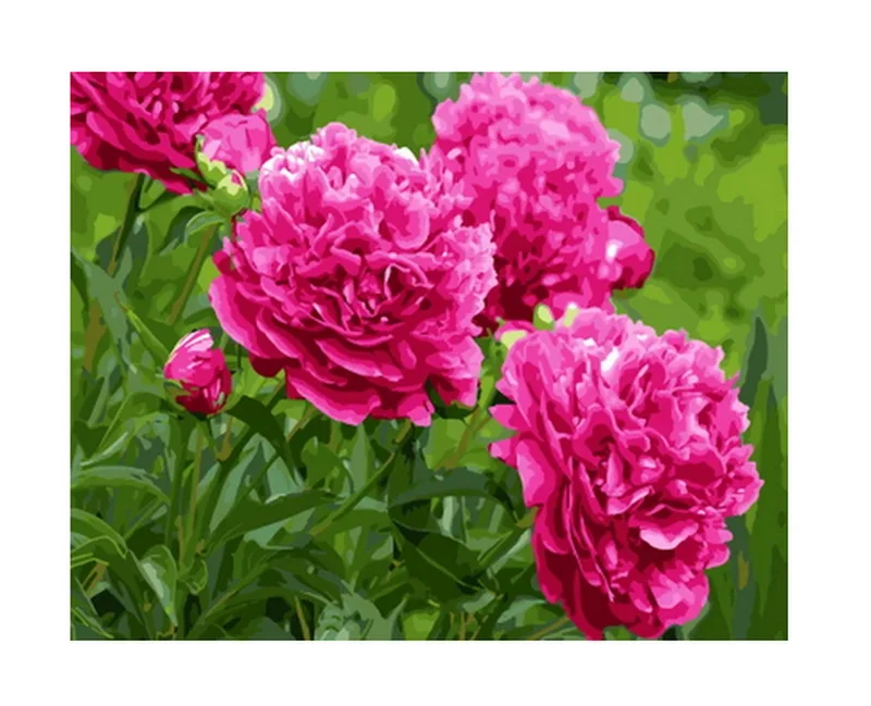 Unframe картина маслом by numbers картины по номерам diy живопись на холсте для домашнего