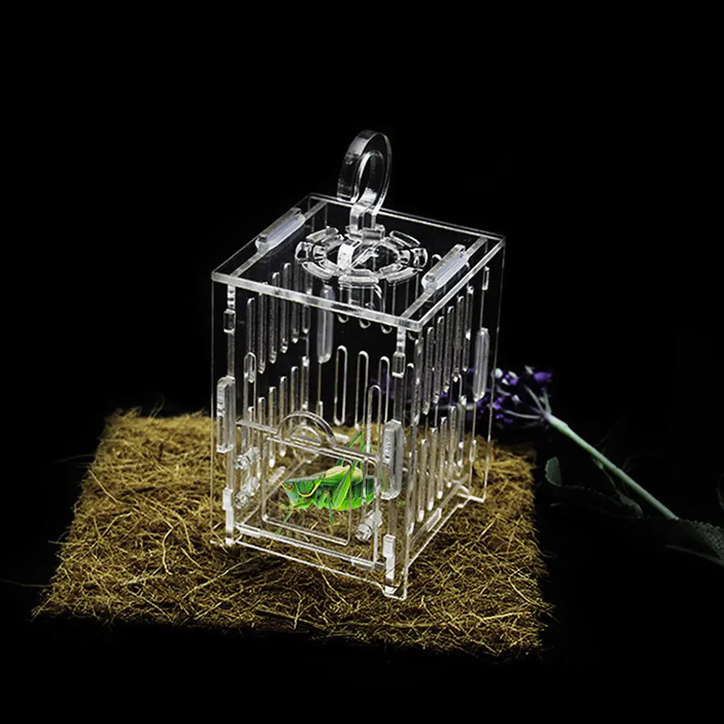 Прочная акриловая маленькая клетка для насекомых кузнечик кормления крикета