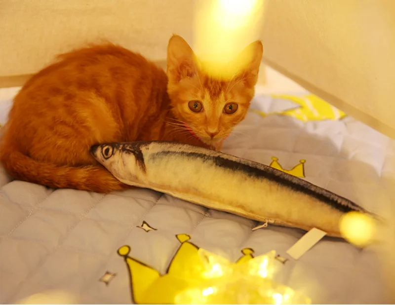 1 шт., креативные игрушки для домашних животных, кошек, котят, жевательных кошек, кошачья мята, мягкая Рыбка, интерактивный котенок, продукт 20 см, 30 см, 40 см, четыре размера