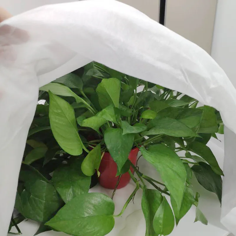 

Non-Woven Plant Cover Winter Heat Preservation, Moisturizing And Cold-Proof Plant Cover Cloth Antifreeze Plant Cover