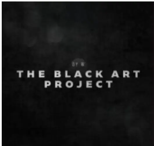 

2020 Black Art Project By Will Tsai & Sansminds Magic tricks