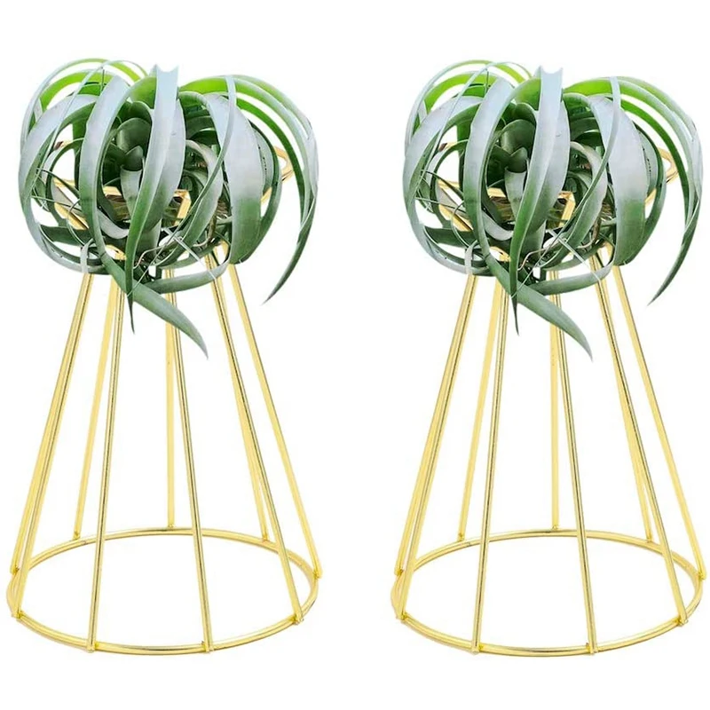 

Air Plant Holder Metal Air Plant Stand Base Indoor Tabletop Display Big Air Plant Stand Air Plant Racks for Home Office